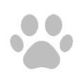 Pet Images